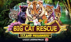 Imagem do jogo Big Cat Rescue Megaways na xjwinbr