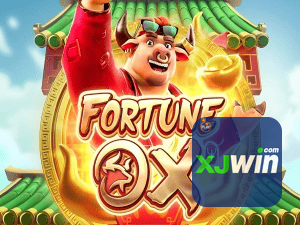 XJWIN login — painel de entrada no app oficial